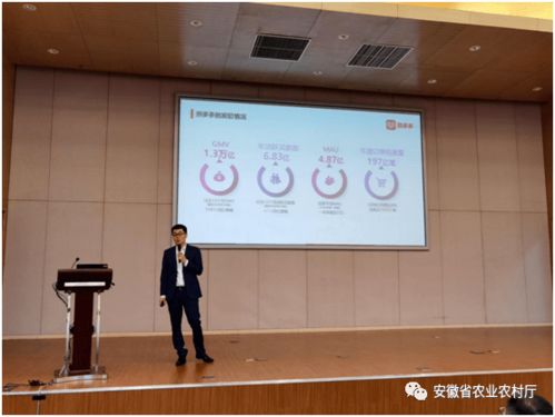 2020安徽省农产品电子商务对接活动在合肥成功举办，助力农业数字化转型